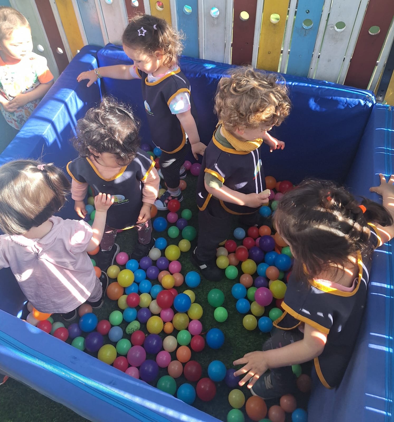 WhatsApp Image 2025-11-11 at 10.16.03 PM (1) WhatsApp Image 2025-11-11 at 10.16.03 PM (1)