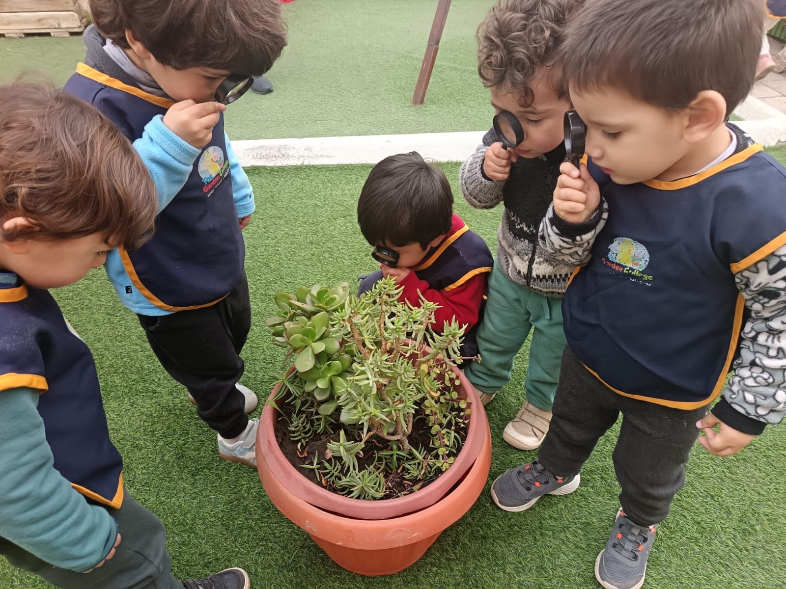 WhatsApp Image 2025-11-11 at 10.16.04 PM (1) WhatsApp Image 2025-11-11 at 10.16.04 PM (1)