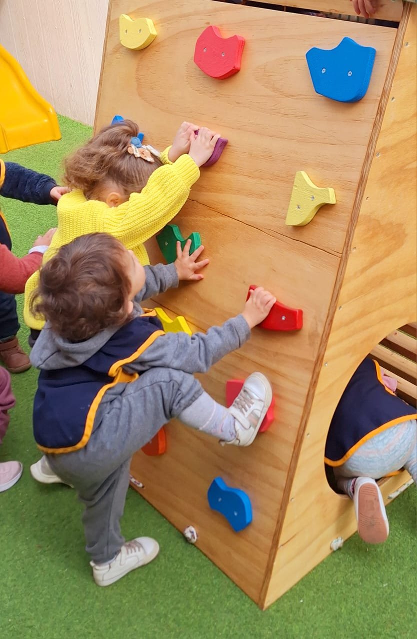 WhatsApp Image 2025-11-12 at 2.34.14 PM (1) WhatsApp Image 2025-11-12 at 2.34.14 PM (1)